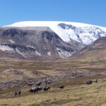 El glaciar Quelccaya, en los Andes peruanos