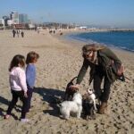 España dispone de 40 playas "amigas"de los perros