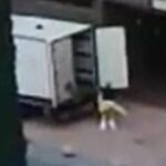 Imagen del operario quitándose el traje en el patio del edificio.