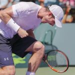 Andy Murray celebra su triunfo ante Tomas Berdych que le permitirá jugar la final del torneo de Miami.