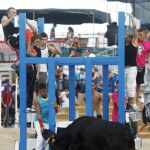 Imagen de un festejo popular