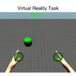 Imagen de la realidad virtual mostrada a los pacientes