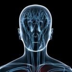 El médico artífice del trasplante de cabeza dice que muchos ricos le han llamado