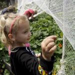 La hipertensión infantil afecta a la memoria
