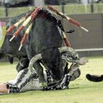 El subalterno fue derribado al banderillear al quinto toro de Peñajara