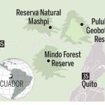 Mashpi, la reserva natural más salvaje de Ecuador
