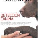 ATuSalVD. Nº 556