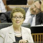 La consejera de Hacienda y Administración Pública, Carmen Martínez Aguayo, en un pleno reciente del Parlamento de Andalucía