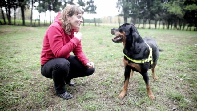 El tipo de ladrido aporta mucha información sobre el perro