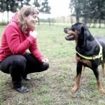 El tipo de ladrido aporta mucha información sobre el perro