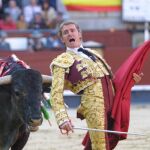 «La pureza siempre ha sido mi bandera»