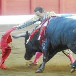 Palhas para poco paladar
