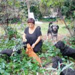 Pilar Tabares y su numerosa familia peluda