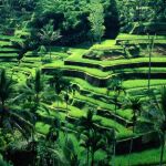 Bali, la isla de los dioses