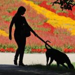 Un juzgado de Badajoz reconoce la custodia compartida de un perro