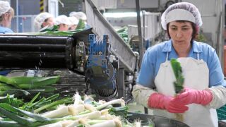 La industria agroalimentaria de Castilla y León, una de las más importantes de España