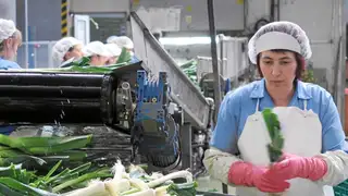 La industria agroalimentaria de Castilla y León, una de las más importantes de España