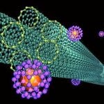Corte trasversal de nanotubos de carbono, estructuras que forman el grafeno