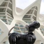 Ciudad de las artes y las ciencias, conocimientos y diversión durante todo el año