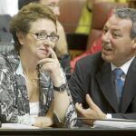 La consejera de Hacienda, Carmen Martínez Aguayo, conversa con el de Educación, Francisco Álvarez de la Chica, ayer, en el Pleno