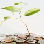 ¿Qué busca el cliente de la banca ética?