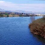 Cataluña quiere proteger del trasvase el delta del Ebro