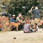 Los peregrinos, acompañados de sus perros, descansan en una de las jornadas de su Camino de Santiago particular.