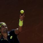 David Ferrer