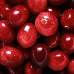 Arándanos para prevenir y ayudar a tratar la cistitis