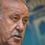 Del Bosque tiene partidos con la Selección el 11 y 14 de junio