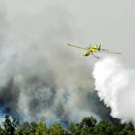 Unas 60 dotaciones de Bomberos y 10 medios aéreos trabajaron en la extinción del incendio en el Empordà
