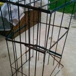 Imagen de la jaula encontrada por los agentes