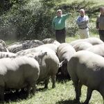 Rusia levanta el veto al porcino español