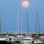 Las marinas son las únicas zonas del nuevo puerto que están explotadas, cada vez con mayor éxito