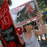 Manifestación antitaurina en Barcelona