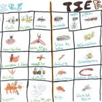 «Los insectos», según Cristina García Casas