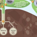 Homeopatía: ¿Fármacos sin contraindicaciones o un simple placebo?