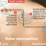 Dolor neuropático: descubren que la capsaicina de la guindilla en megadosis es eficaz durante doce semanas