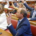El portavoz del PP en el Senado, Pío García Escudero, durante la votación por las enmiendas a la reforma constitucional