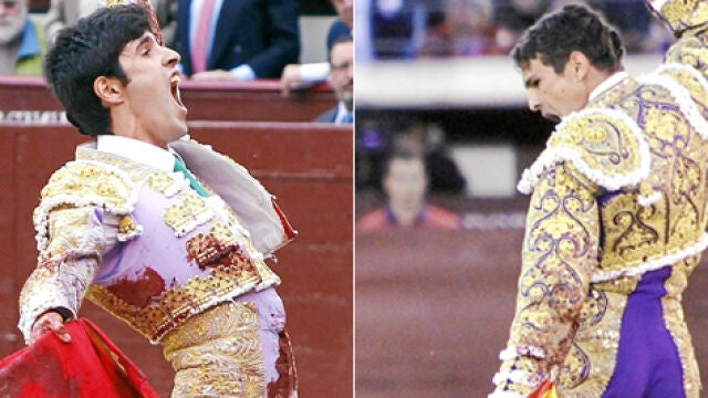 TOREOS-1