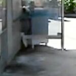El agredido dormía al amparo de un quiosco en la Plaza de España