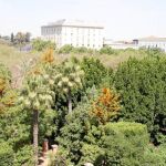 Aspecto de los jardines del Prado antes de que se talaran dos centenares de árboles