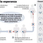 esperanza