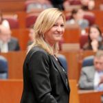 Del Olmo se dirige a la tribuna para explicar las cuentas, el pasado diciembre