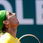 nadal