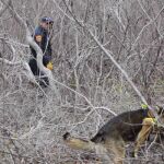 Buscan en Nueva York a un posible asesino en serie de prostitutas