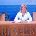 El PP exige conocer las consejerías que recibieron al hijo del ex presidente