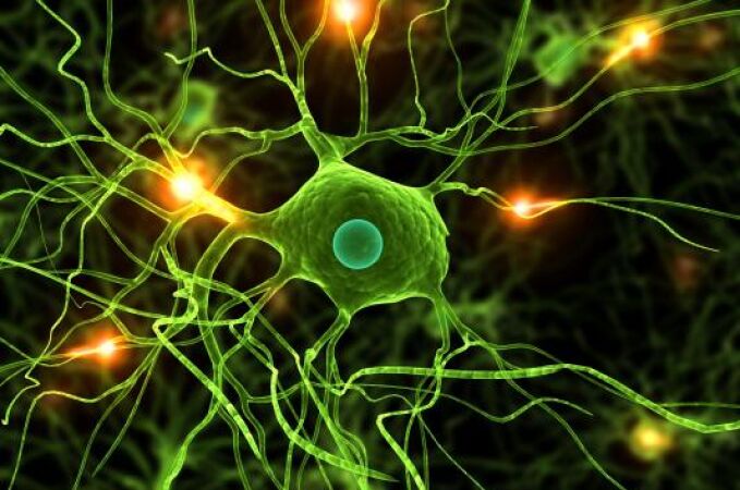 Una terapia génica logra mejorar los síntomas del Parkinson