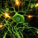 Una terapia génica logra mejorar los síntomas del Parkinson