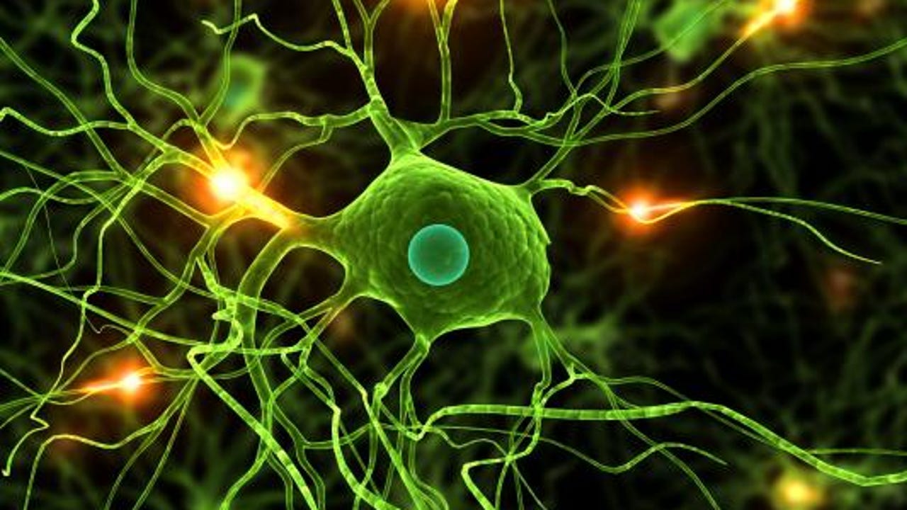 Descubren el interruptor del párkinson en el cerebro
